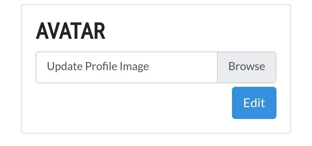 New file input for avatars with the text 'Update Profile Image'